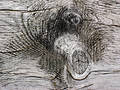 Free Old Wood Wall 2 Stock Photo - 308910