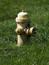 Free Fire Hydrant Stock Photo - 307880