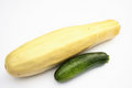 Free Vegetable Marrow Stock Image - 3000871