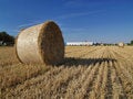Free Bale Of Straw Stock Photo - 3002030