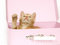 Free Kitten Ready For A Trip Royalty Free Stock Photo - 3017025