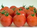 Free Tomatoes Stock Photography - 3024502