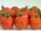 Free Tomatoes Stock Photography - 3024502