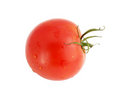 Free One Tomato Royalty Free Stock Photo - 3030025