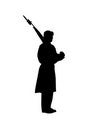 Free Standing Guard Royalty Free Stock Images - 3033459