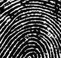 Free FingerPrint Crop 3 Stock Photos - 3035843