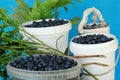Free The Small Full Buckets Stock Images - 3044694