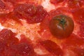 Free Tomato 1 Stock Image - 3048911