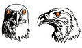 Free American Bald Eagle Stock Images - 3051894
