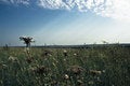 Free Vibrant Landscape Royalty Free Stock Photos - 3058058