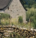 Free Imageseurope.com Royalty Free Stock Photography - 3064107