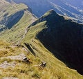 Free Imageseurope.com Stock Images - 3064114