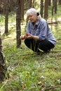 Free Collecting Of Mushrooms Stock Images - 3065324