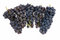 Free Dark Grape Royalty Free Stock Photos - 3060778