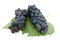 Free Dark Grape With Leaf Royalty Free Stock Image - 3060796