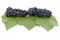 Free Dark Grape With Leaf Royalty Free Stock Photography - 3060957