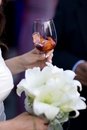 Free Bride Holds Glass Royalty Free Stock Photography - 3075587