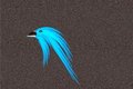 Free Blue Abstraction Bird Stock Photo - 3075850