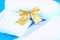 Free Sanitary Product - Feminine Stock Images - 3077624