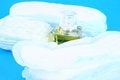 Free Sanitary Product - Feminine Stock Photos - 3078003