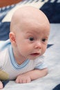 Free 3-month Baby Royalty Free Stock Photography - 3078487