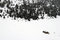 Free Andorra Royalty Free Stock Image - 3077156