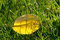 Free Golden Autumn Leaf Royalty Free Stock Image - 3078036