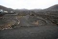 Free Volcanic Vineyard Royalty Free Stock Photo - 3081845