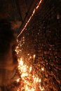 Free Wall Of Candles Royalty Free Stock Images - 3086329