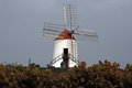 Free Tourist Visit Wind Mill Royalty Free Stock Photography - 3087737