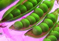 Free Peas Royalty Free Stock Image - 3090886