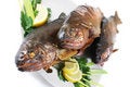 Free Smoked Trouts Royalty Free Stock Photography - 3093257