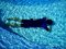 Free Sleeping In The Pool Royalty Free Stock Images - 3098009