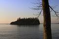 Free Tree On Shore And Island Royalty Free Stock Images - 310019