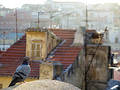 Free Dove In The Old Town. Royalty Free Stock Photography - 318807