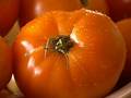 Free Wet Tomatoe Royalty Free Stock Images - 318899