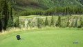 Free Golf Course Royalty Free Stock Images - 3119369