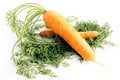 Free Two Carrots. Royalty Free Stock Photo - 3128035