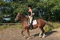 Free Upright Riding Posture Stock Photos - 3131983