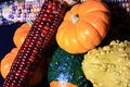 Free Vivid Harvest Colors Stock Image - 3134371