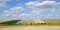 Free Grain Fields With Single Tree Stock Photography - 3132842