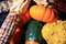 Free Autumn Harvest Royalty Free Stock Photography - 3134307