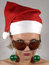 Free Mrs Santa With Sunglasses Stock Photos - 3134663
