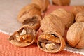Free Cracked And Whole Walnuts Stock Image - 3144991
