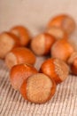 Free Whole Hazelnuts Royalty Free Stock Image - 3145016