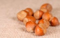 Free Whole Hazelnuts Royalty Free Stock Photography - 3145027