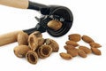 Free Almonds (with Path) Royalty Free Stock Photos - 3147318