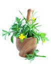 Free Mortar With Herb Royalty Free Stock Photo - 31480555