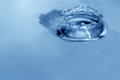 Free Blue Crown Stock Photo - 3150140