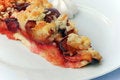 Free Gourmet Fruit Cake - Plum Cake Stock Photos - 3161243